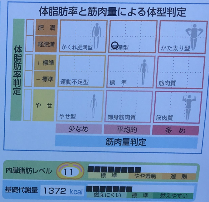 20160601　体型判断　メガロス